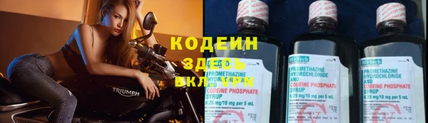 бошки Арсеньев