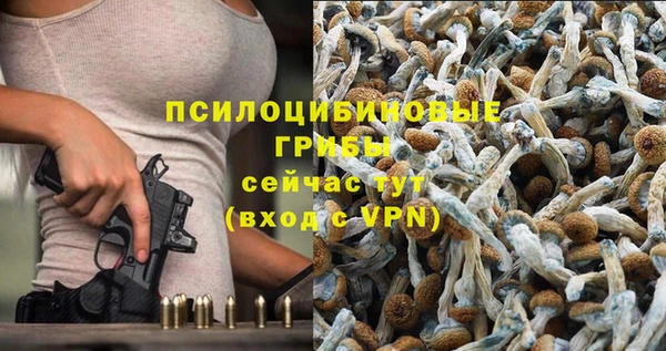 бошки Арсеньев
