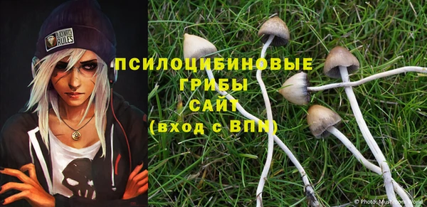 гидропоника Новокубанск