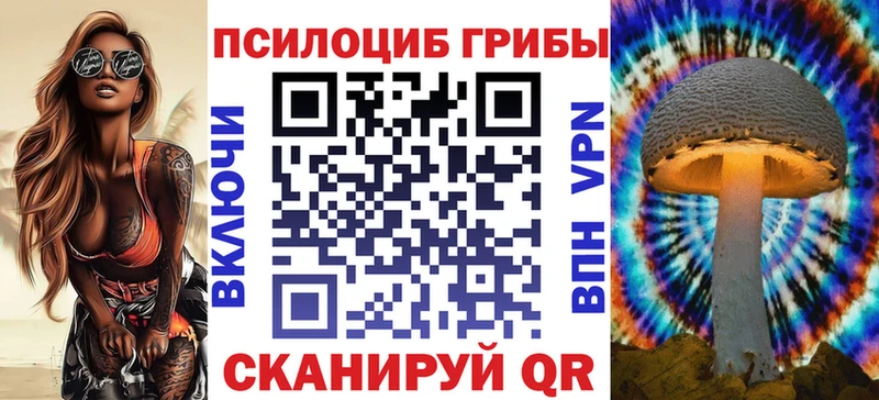 Псилоцибиновые грибы мицелий  это как зайти  Межгорье  где купить наркоту 
